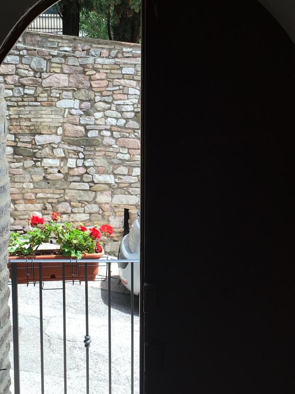 Il Sementone Assisi