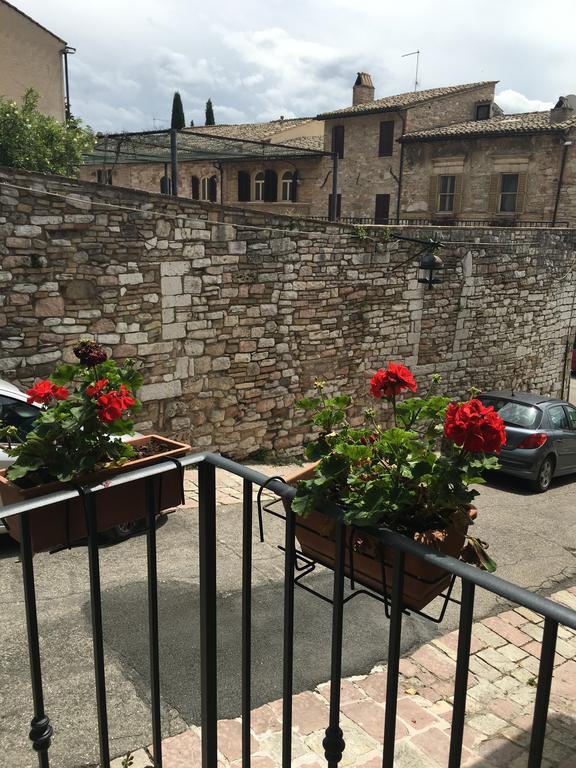 Il Sementone Assisi